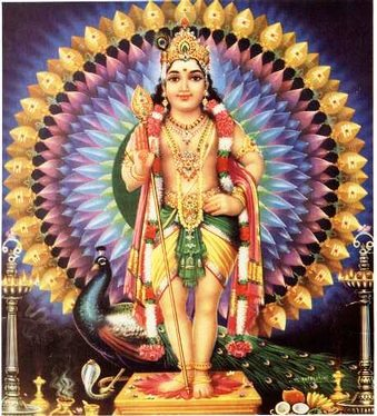 Information about Sri Shankaracharya Virachita Subramanya Bhujanga Stotram in telugu.